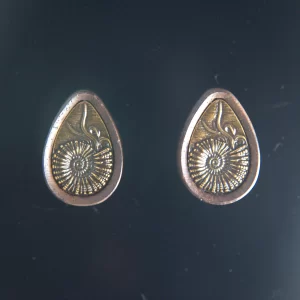 Teardrop Ammonite Plugs – Walnut & Bronze - Imagen 5