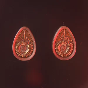 Teardrop Ammonite Plugs – Walnut & Bronze - Imagen 6