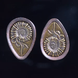 Teardrop Ammonite Plugs – Walnut & Bronze - Imagen 4