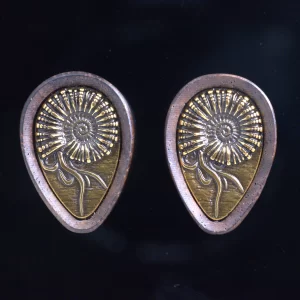 Teardrop Ammonite Plugs – Walnut & Bronze - Imagen 2