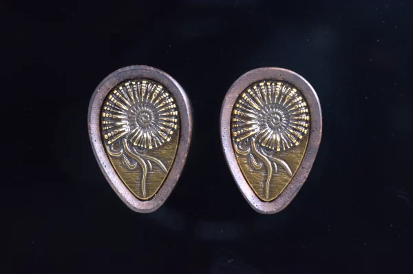 Teardrop Ammonite Plugs – Walnut & Bronze