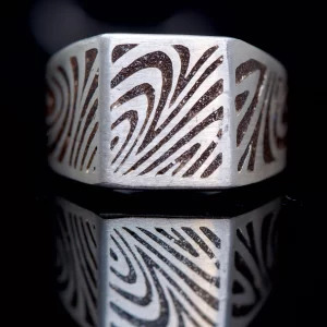 RITUAL RING No. 19 – Sterling Silver + Atacama Meteorite (Vacamuerta) - Imagen 2